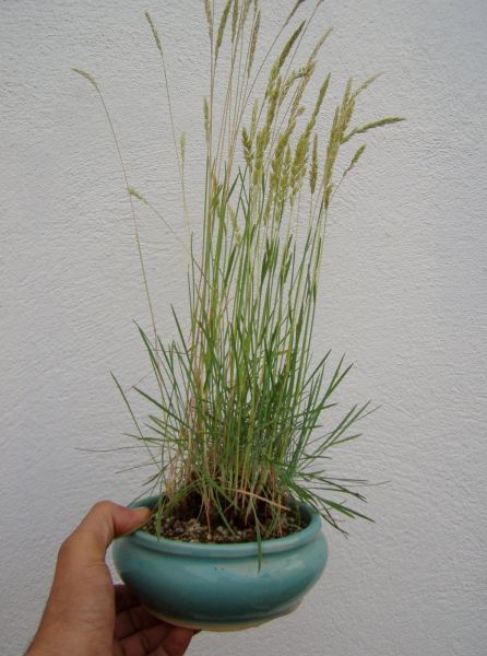 new_P6240004.jpg