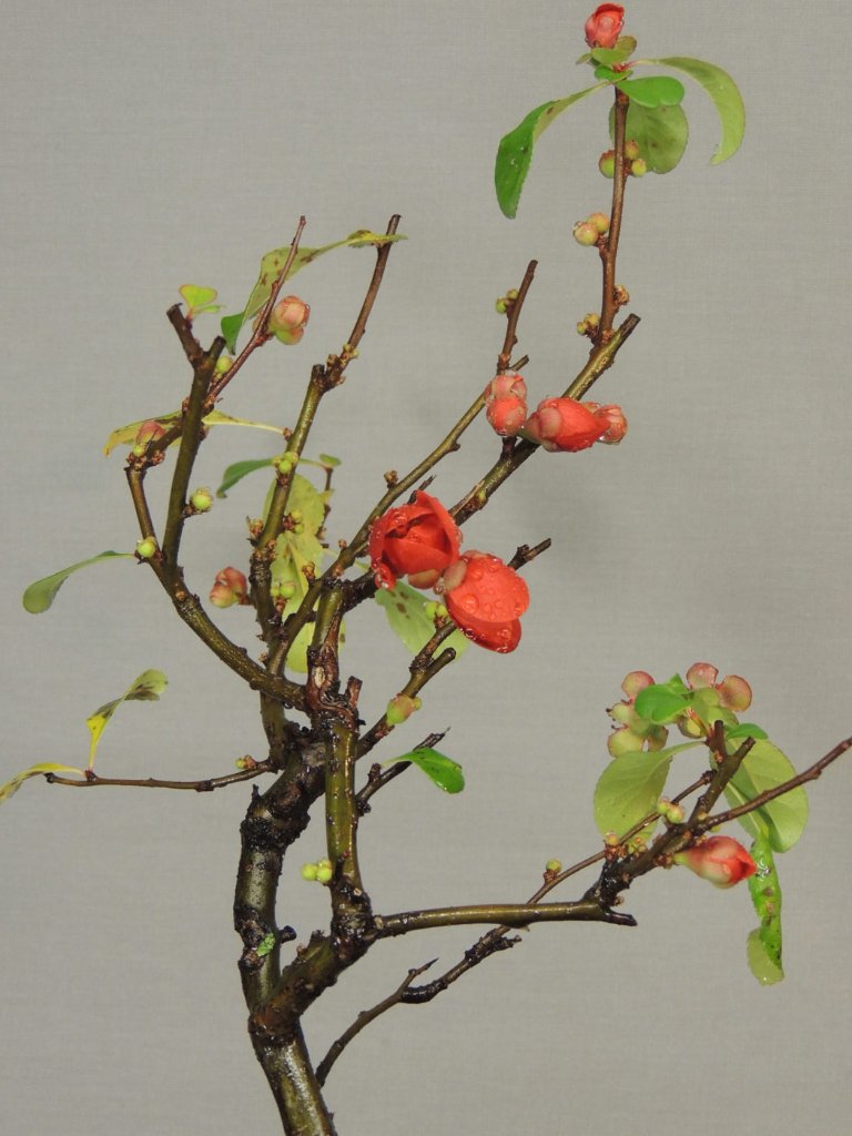 DSCN3725.jpg