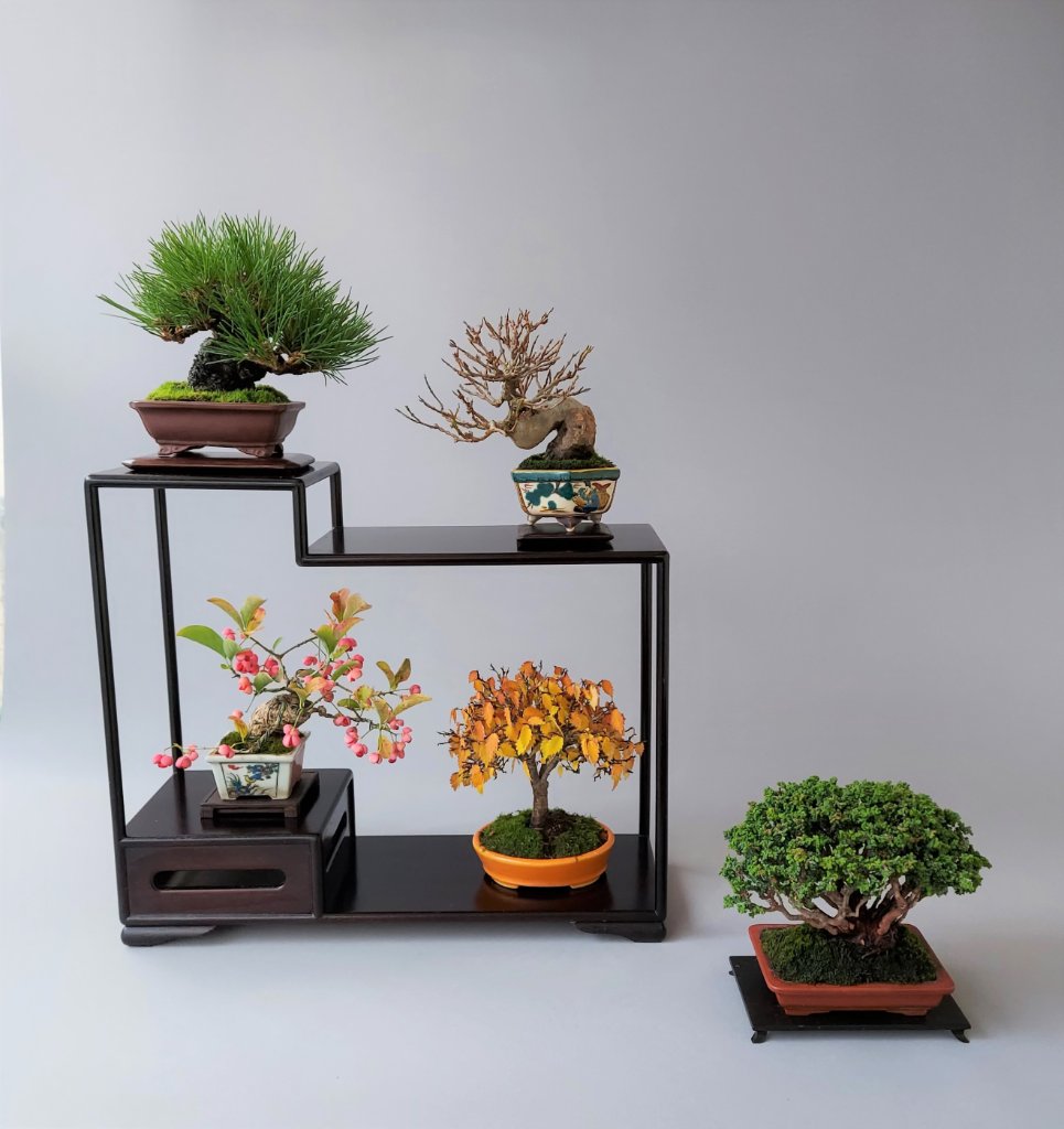 Mame Display 05.11.2021