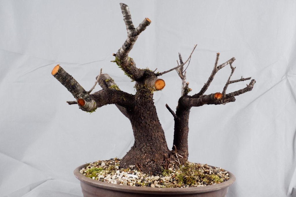 DSCF7149.jpg
