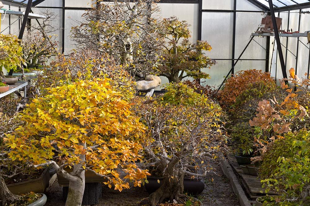 TSC_5444x.jpg