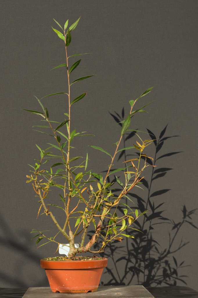 b20211029.jpg