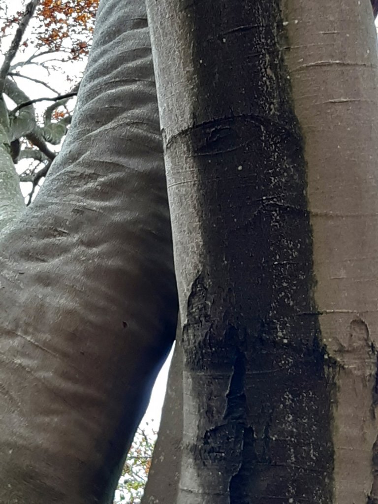 20211104_093051.jpg