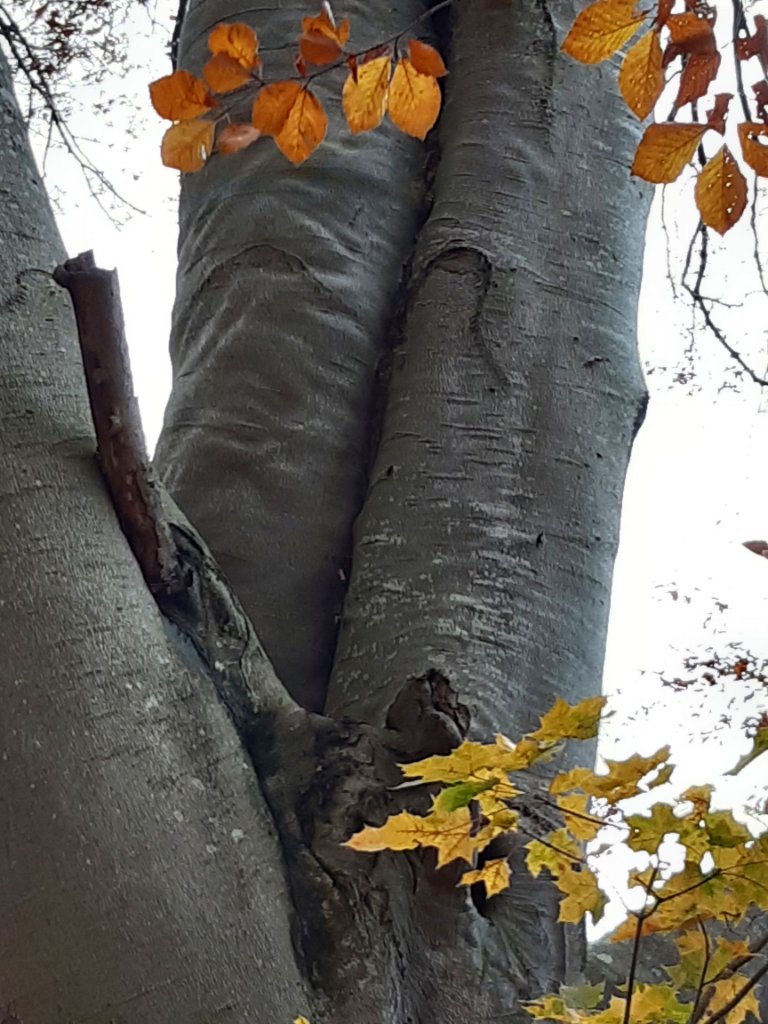 20211104_093120.jpg
