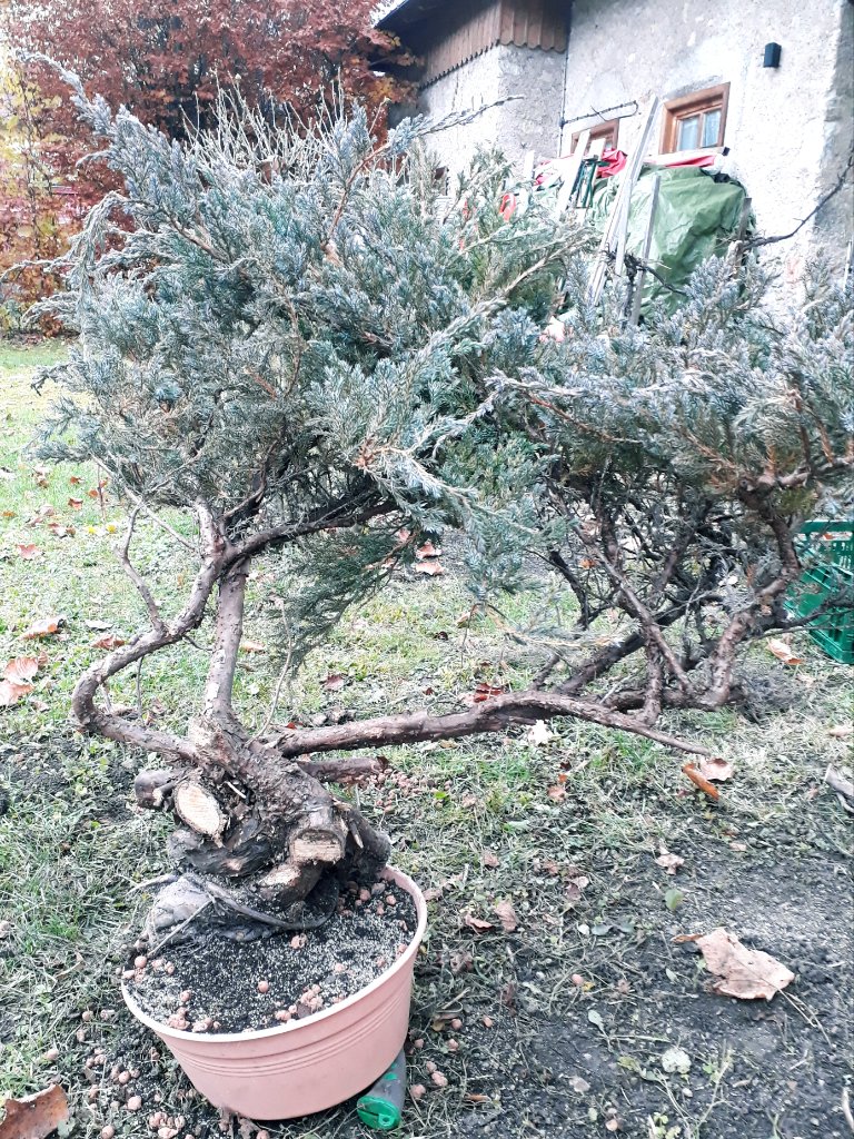 20211117_094815.jpg