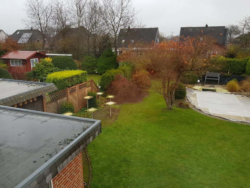 20211128_110313.jpg