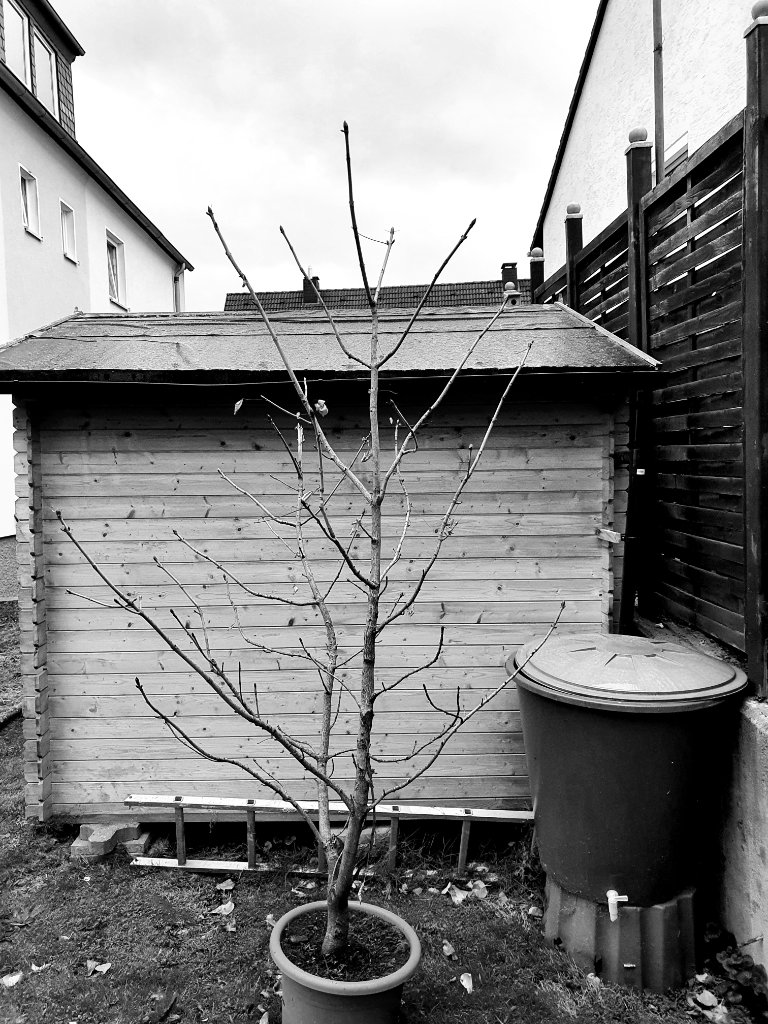 20211022_170704.jpg