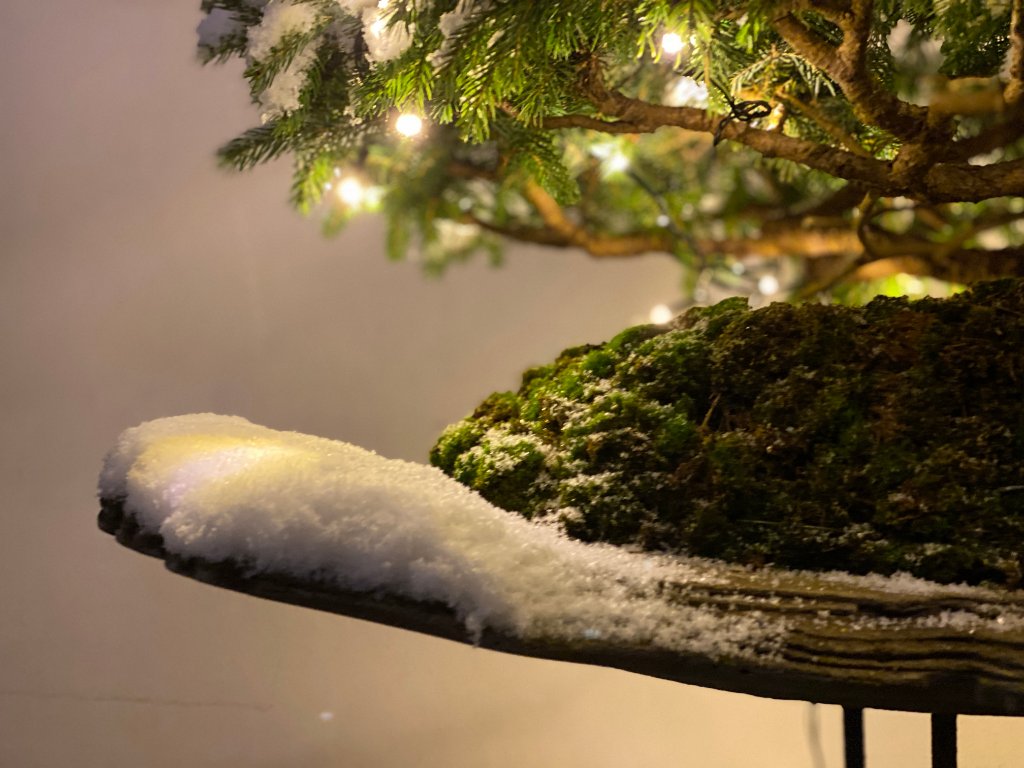 IMG_0204.JPG