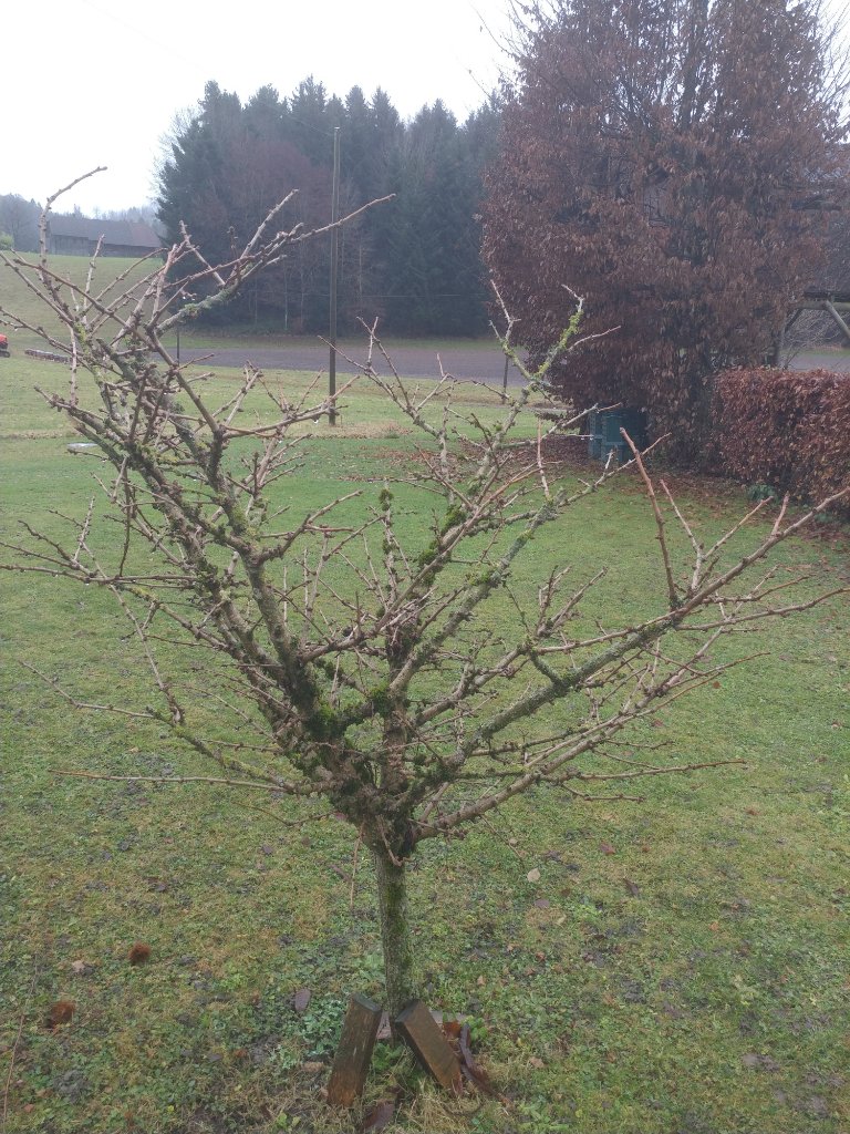 20211229_121247.jpg