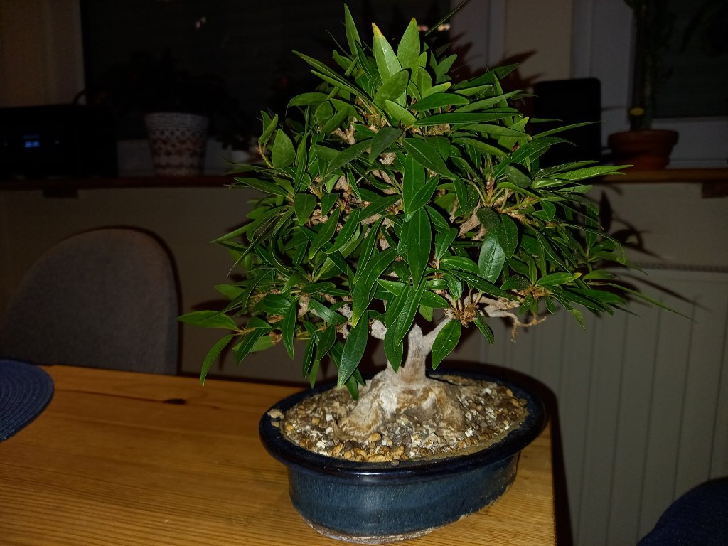 IMG_20220110_223520.jpg