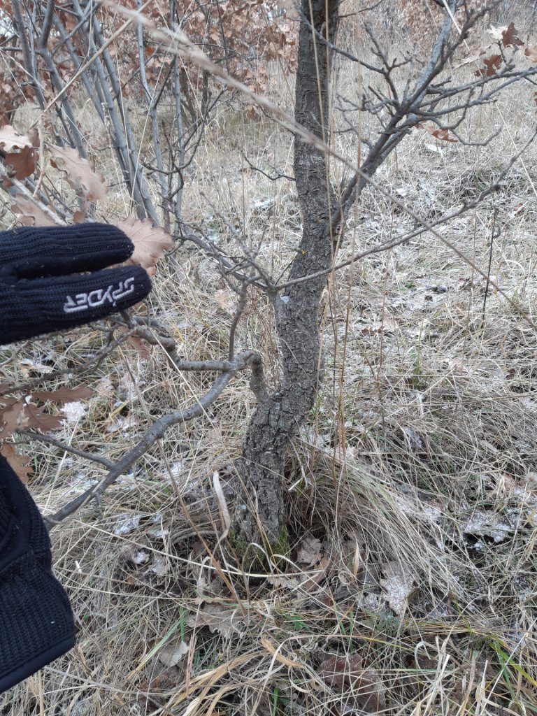 20211226_103420.jpg