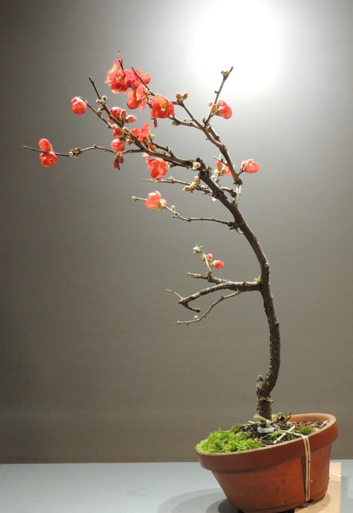 DSCN3792.jpg