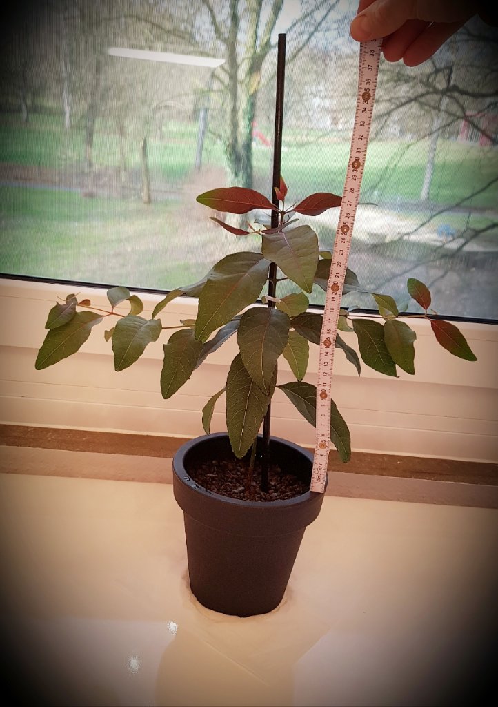 20220120_111126.jpg