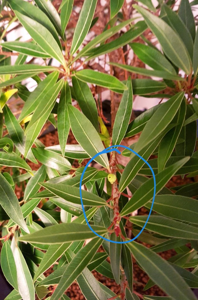20220123_101341.jpg