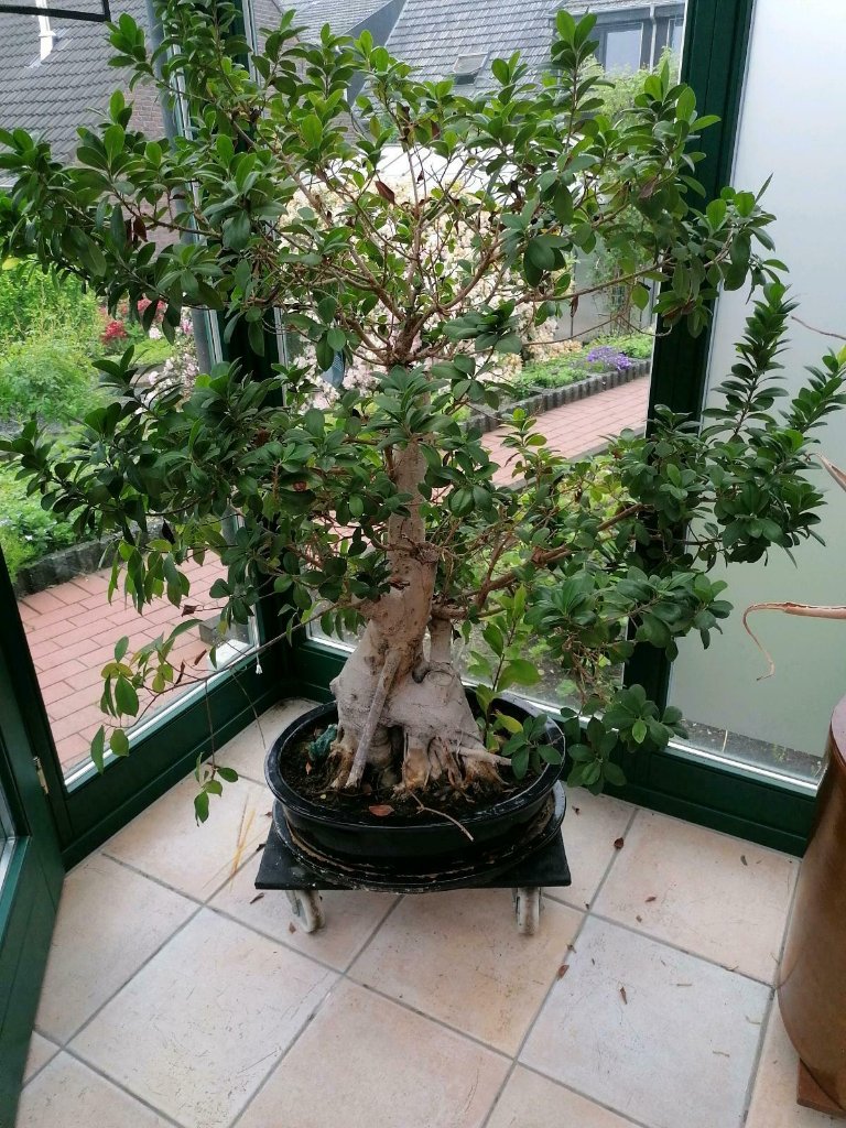 202109_fig.JPG