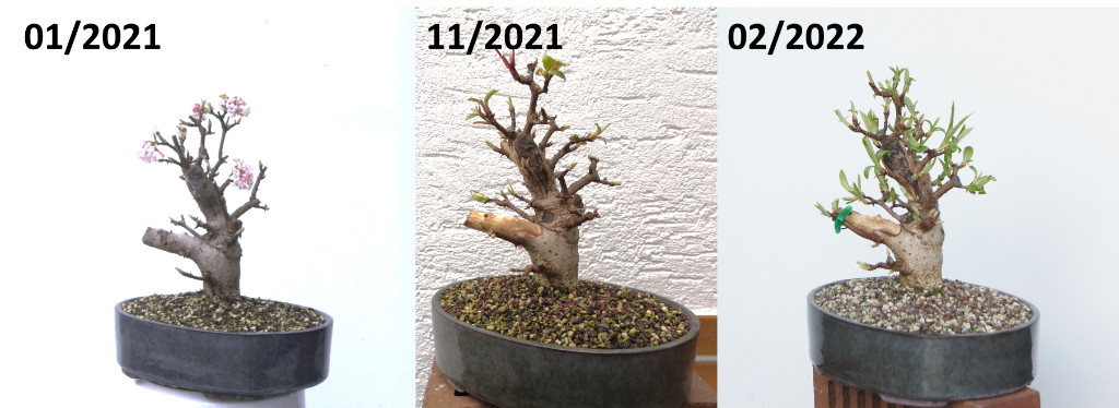 21-22_Ansicht neu.png