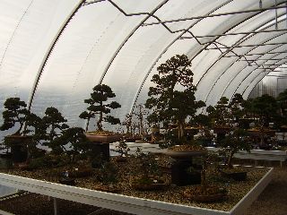 P2190476.JPG
