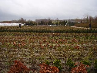 P2190464.JPG