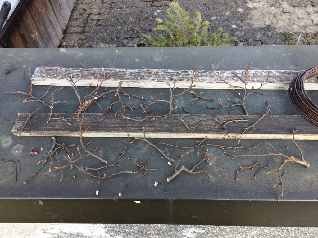 geschnittene Äste 03.2022