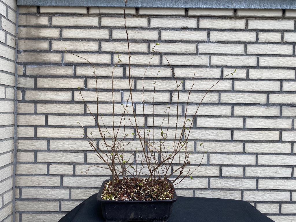 Winterbild 2021/2022
