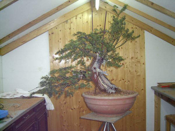 Grobe Erstgestaltung fertig