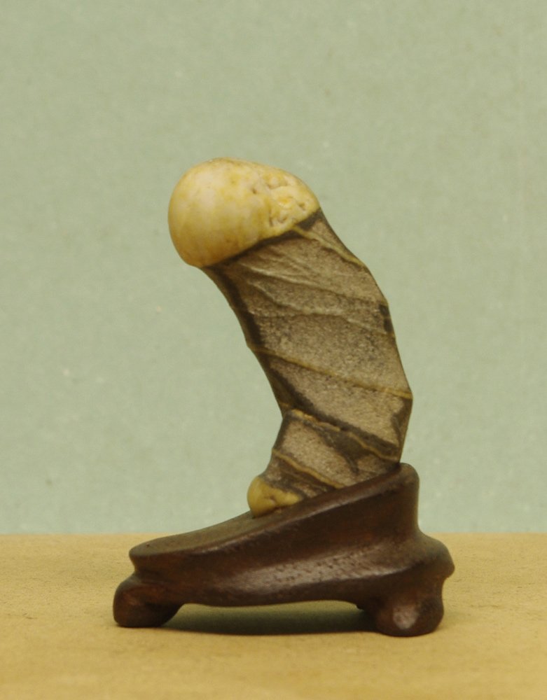 _IGP1174-Kopie.jpg