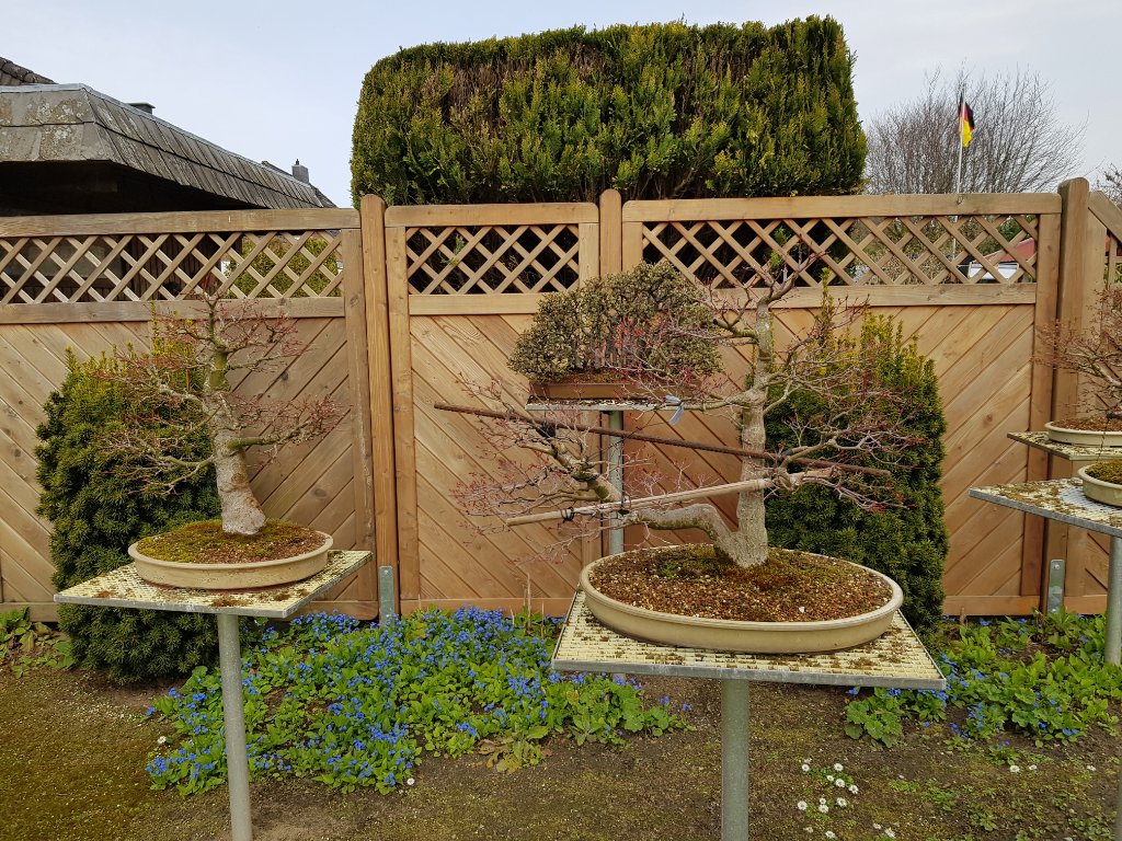 20220413_125723.jpg