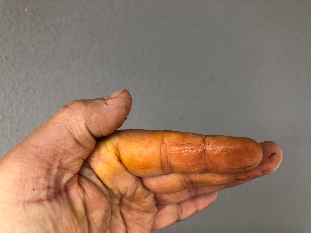 kleines Quiz: woher kommt die orange Farbe?
