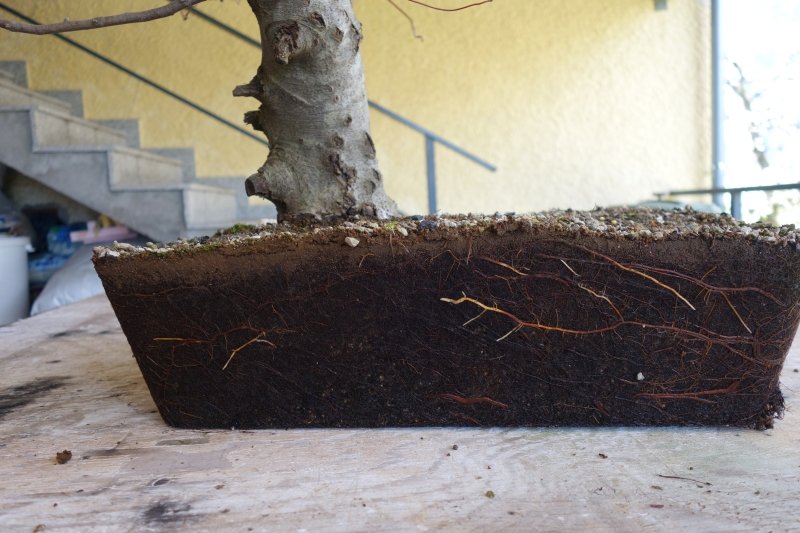 098 18.04.22.jpg