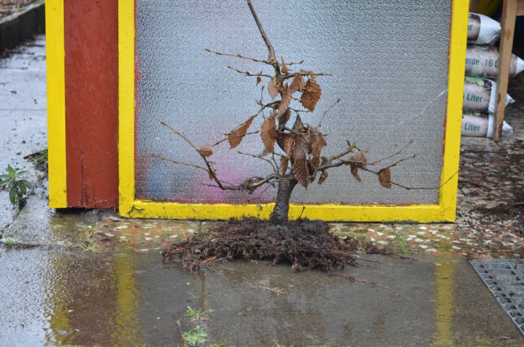 04.03.2019