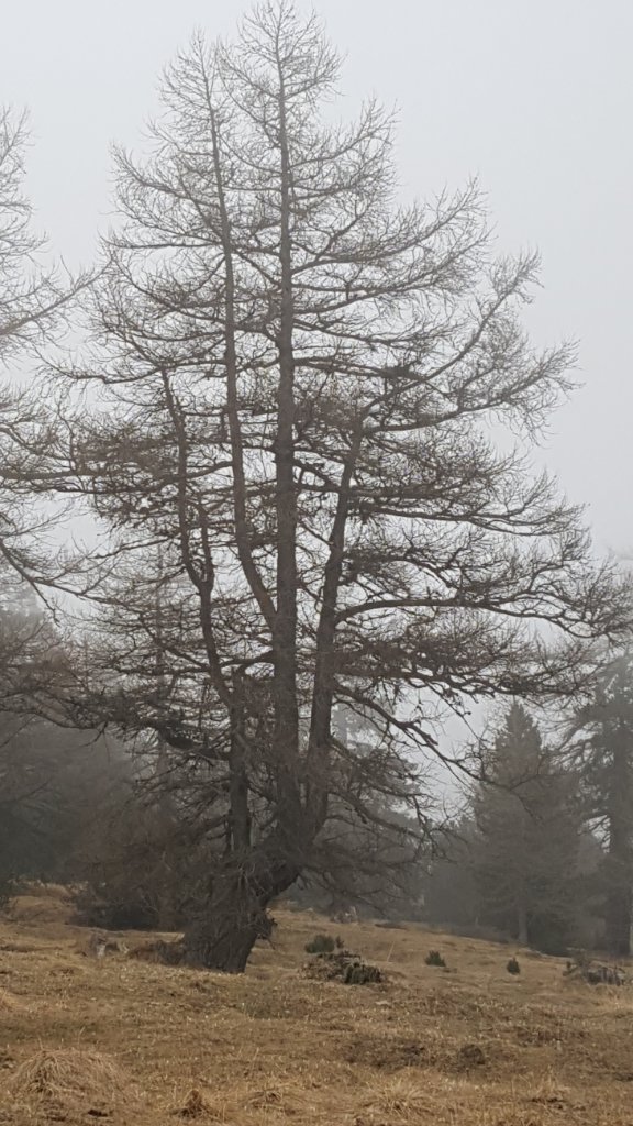 20220421_135545.jpg