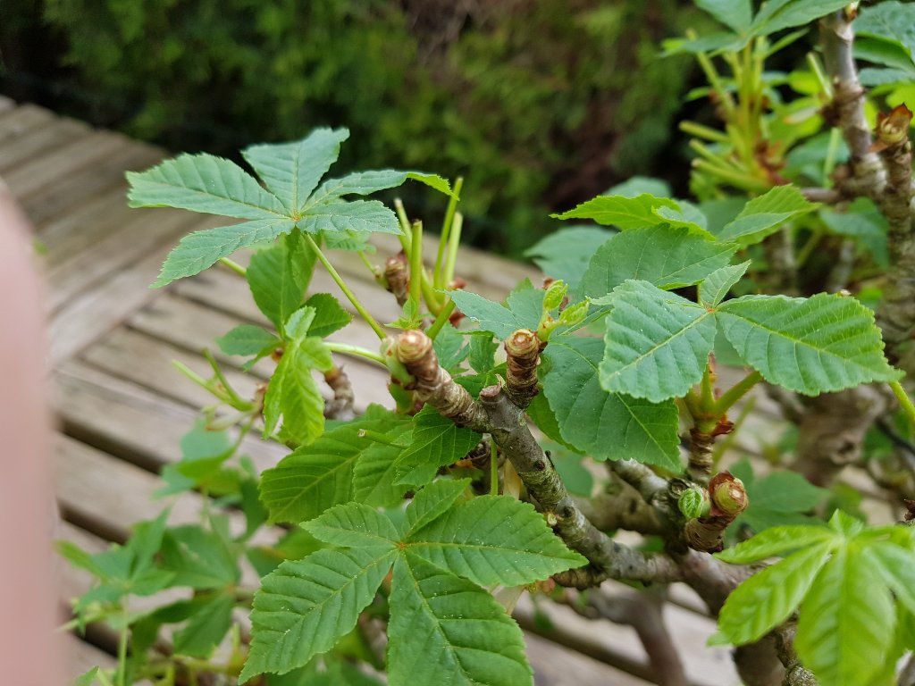 20220513_152036.jpg