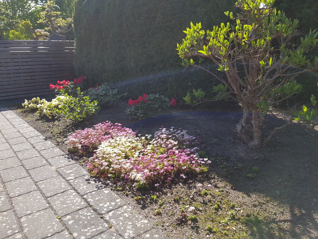 20220515_095155.jpg