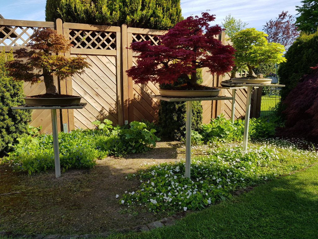 20220515_095239.jpg
