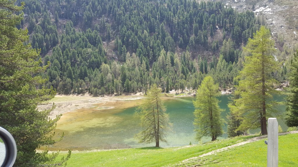 20220519_131509.jpg