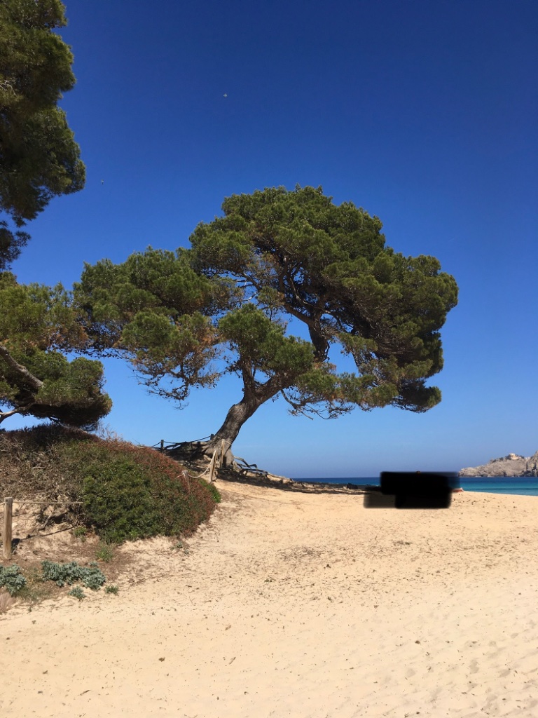 21BEF340-680E-4C0E-B327-B42452090435.jpeg