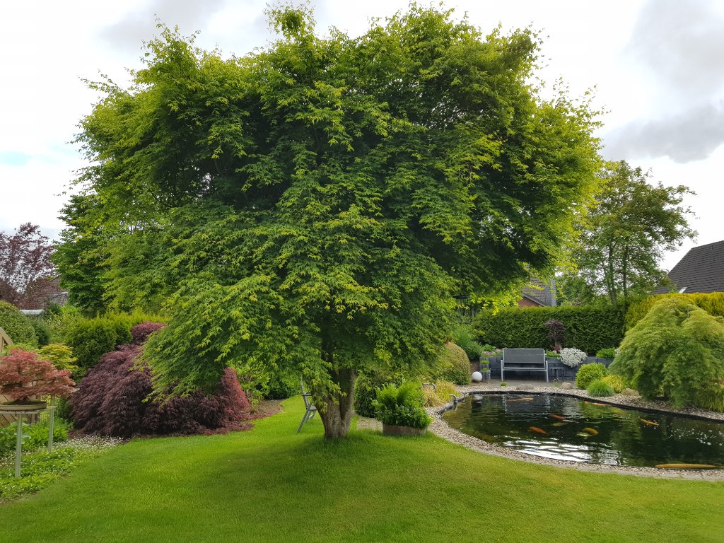20220522_084507.jpg