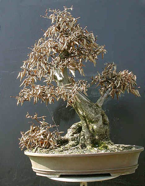 Frühjahr 2002