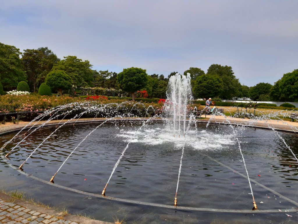 Eindrücke von dem Park in der Rheinaue