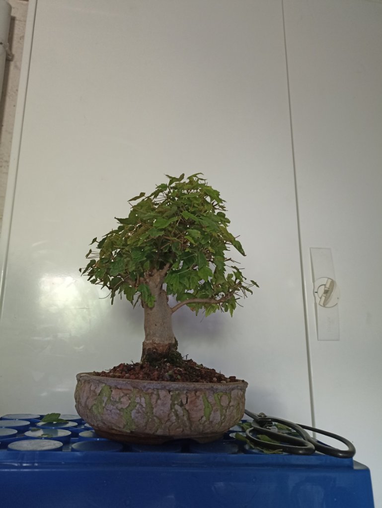 2022_06_18_002.jpg