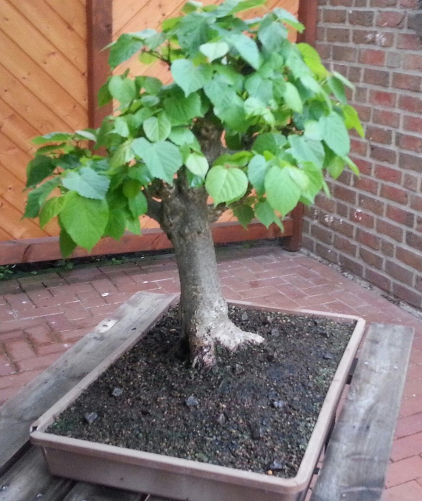 20120806_203932-1.jpg