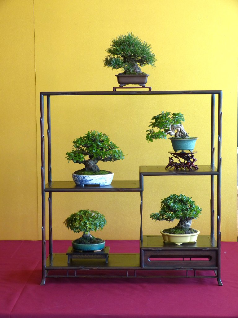P1100916.JPG