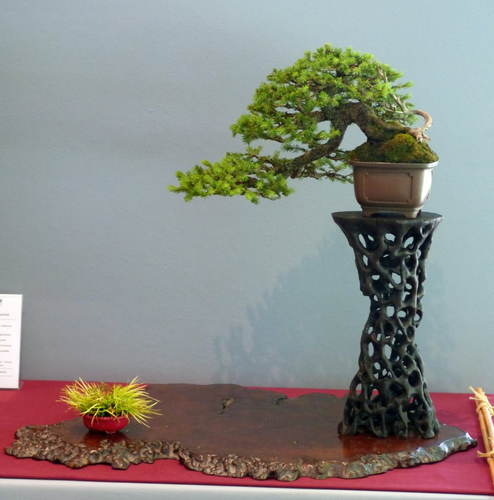 P1100938.JPG