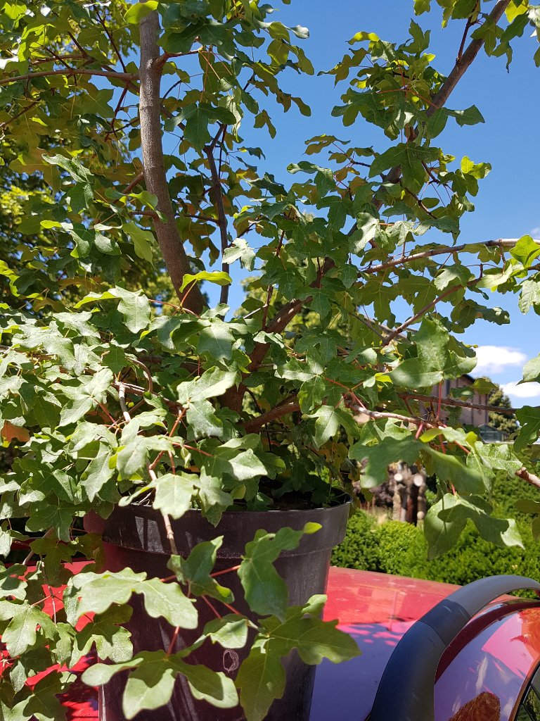 20220702_184705.jpg