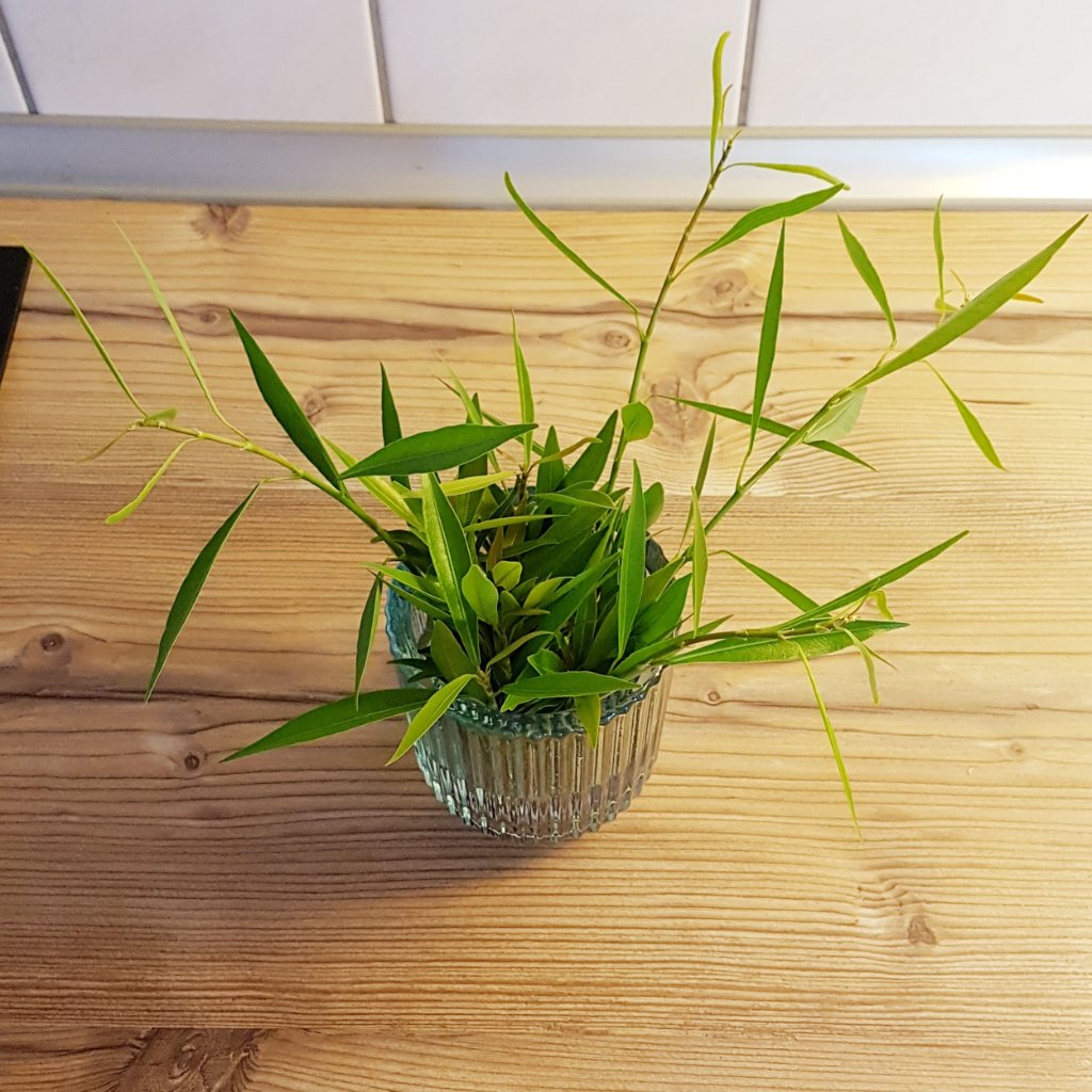 20220709_111116.jpg