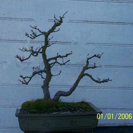 2_159_104.jpg