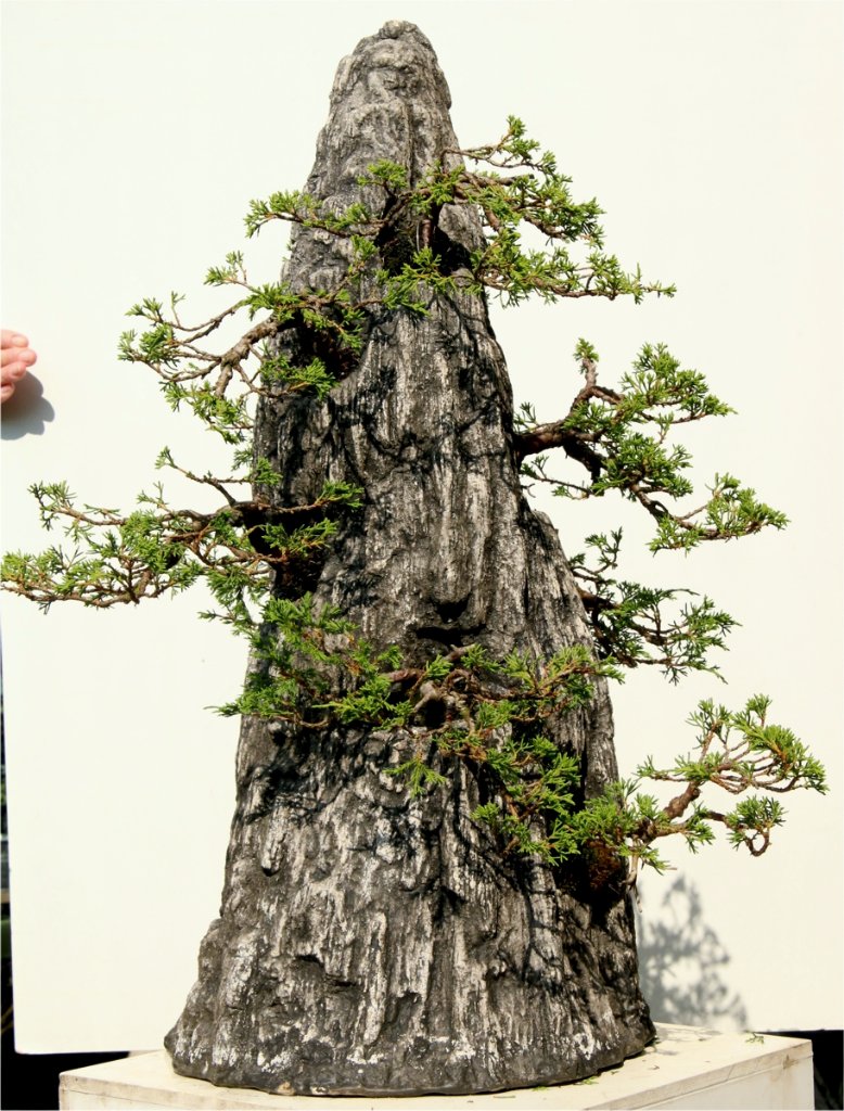 Zopf-Felsen-2022-8.jpg