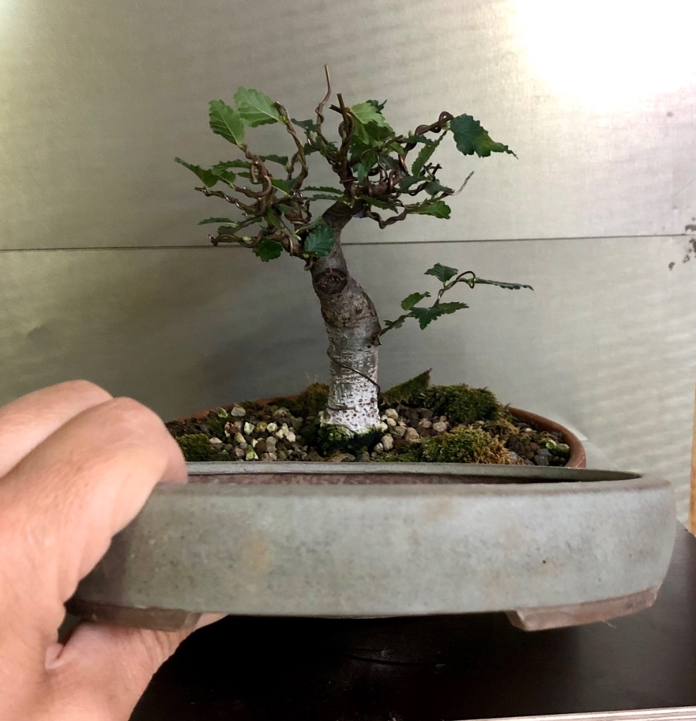 2: Jürgen Hilken oval 19 cm