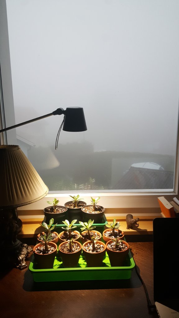 20220806_073130.jpg