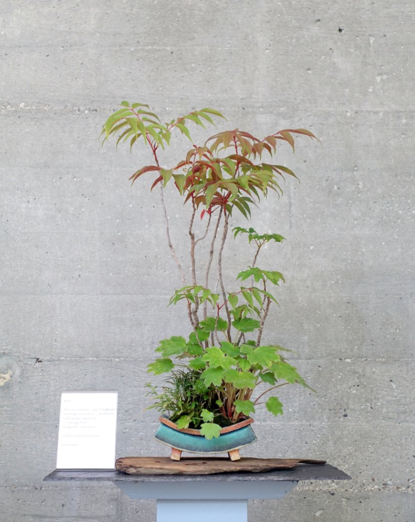 dieses arrangement von Rolf Maeter wurde preisgekrönt